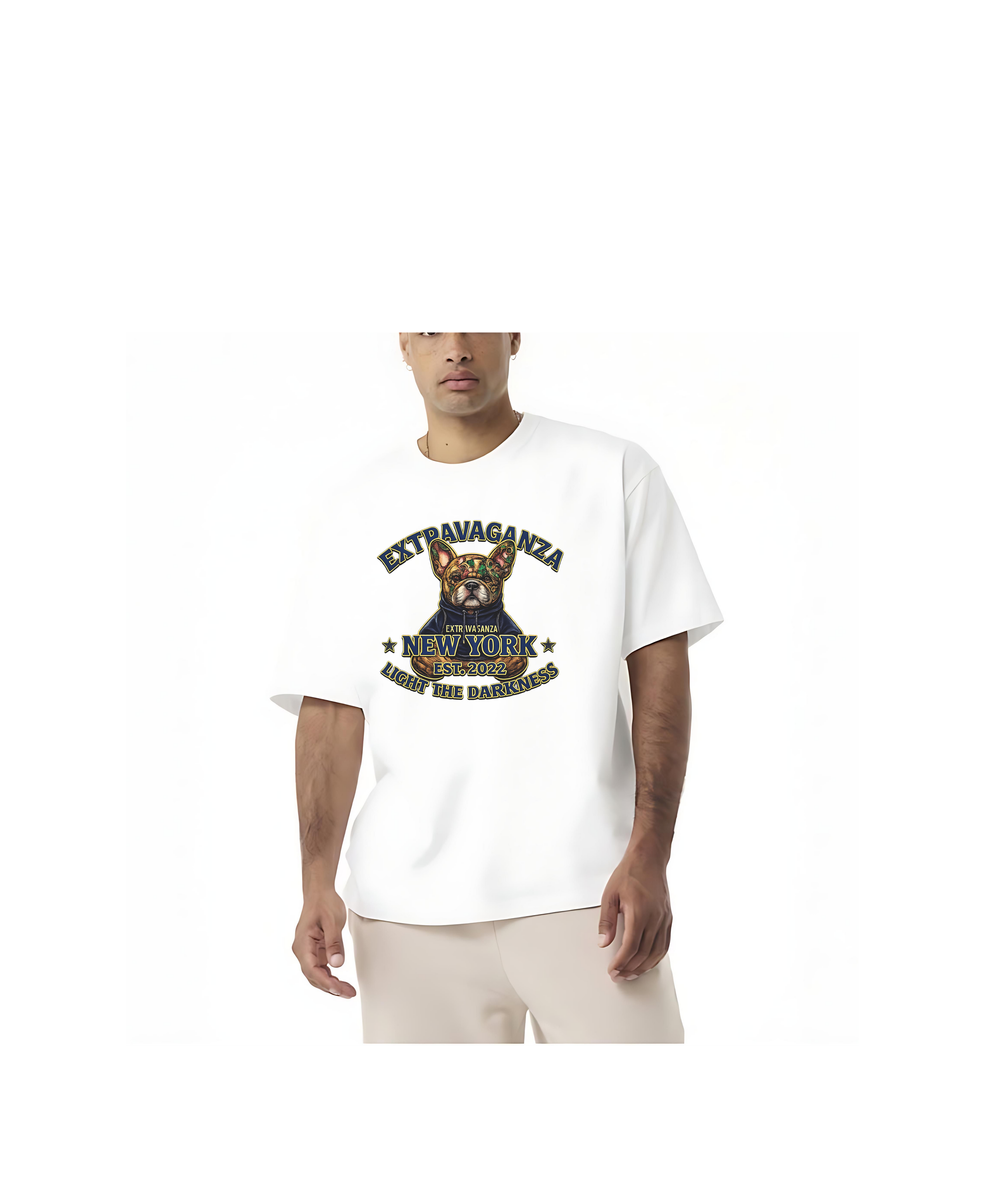 THE ORIGIN | ARCHIVE 2022: Frenchie Boxy Tee